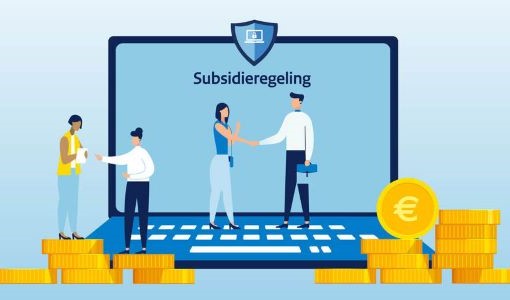 Subsidieregeling ‘Mijn Cyberweerbare Zaak’ voor kleine bedrijven